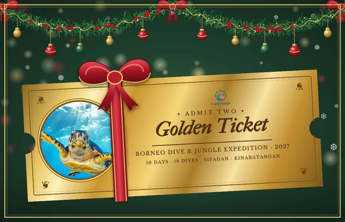 Golden Ticket for two to the 2027 Borneo Dive & Jungle Expedition, with a sea turtle in the ticket window